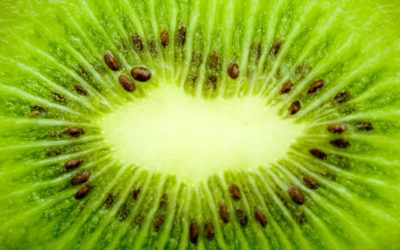 Cloudflare Blocks Kiwi Farms…